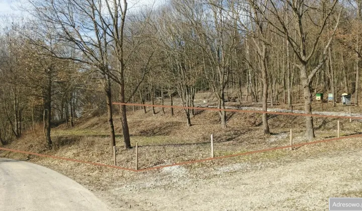 Działka rekreacyjna Turze Pole