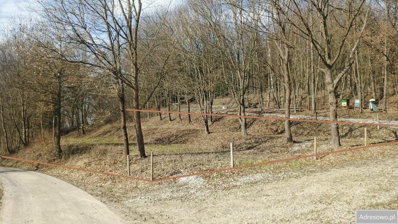 Działka rekreacyjna Turze Pole. Zdjęcie 1