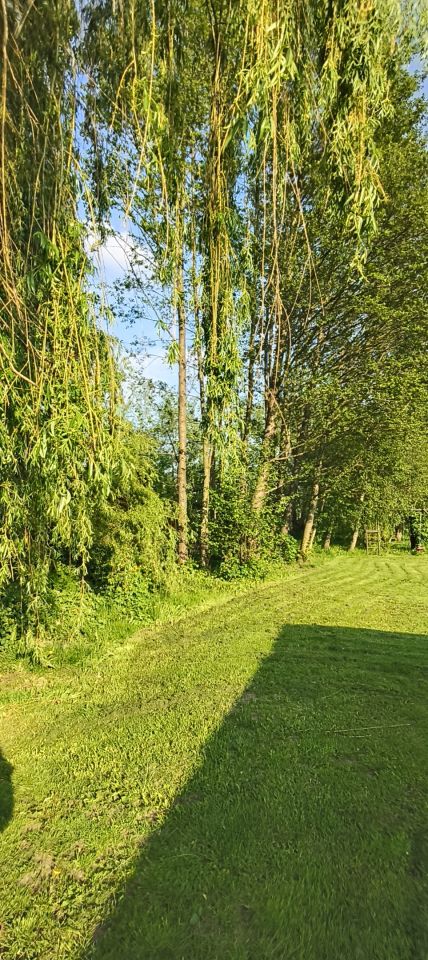 dom wolnostojący, 6 pokoi Przeździecko-Drogoszewo. Zdjęcie 6