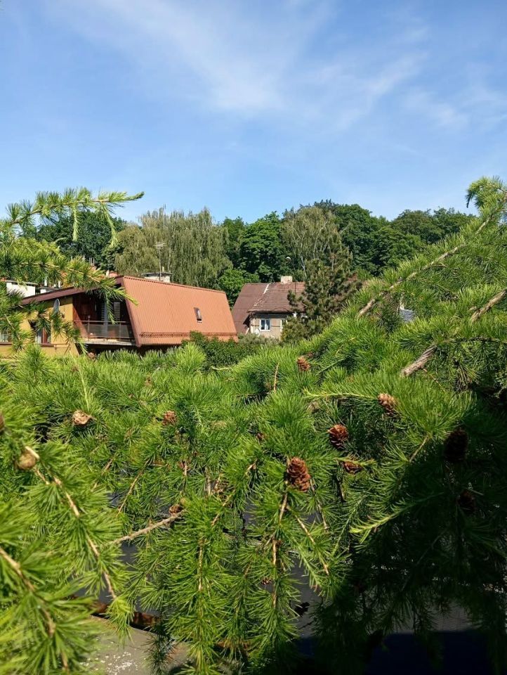 bliźniak, 4 pokoje Gliwice Zatorze. Zdjęcie 15