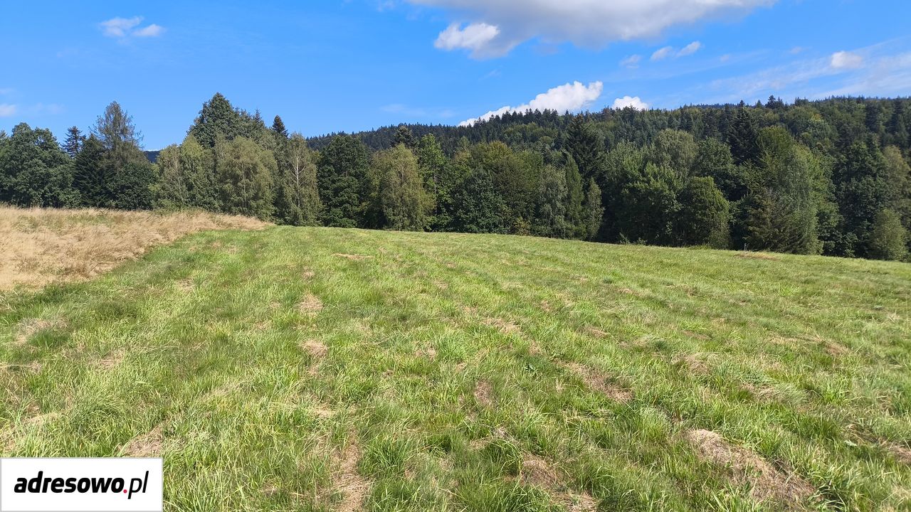 Działka budowlana Gilowice, ul. Zakopiańska. Zdjęcie 8