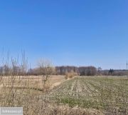 Działka rolno-budowlana Żalin-Kolonia. Zdjęcie 1