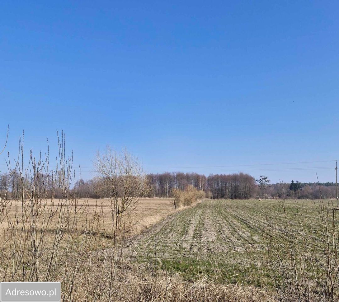 Działka rolno-budowlana Żalin-Kolonia. Zdjęcie 2