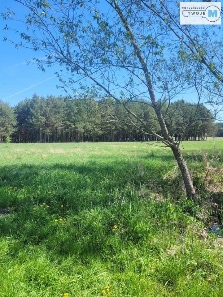 Działka rolna Słabkowice. Zdjęcie 14