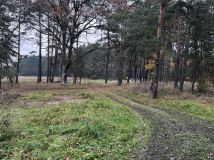 Działka rolno-budowlana Dąbrowiec. Zdjęcie 3