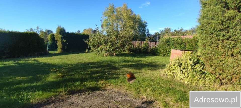 Działka rod Pyskowice. Zdjęcie 1