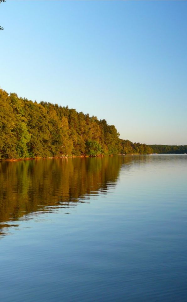 Działka budowlana Tereszewo. Zdjęcie 5