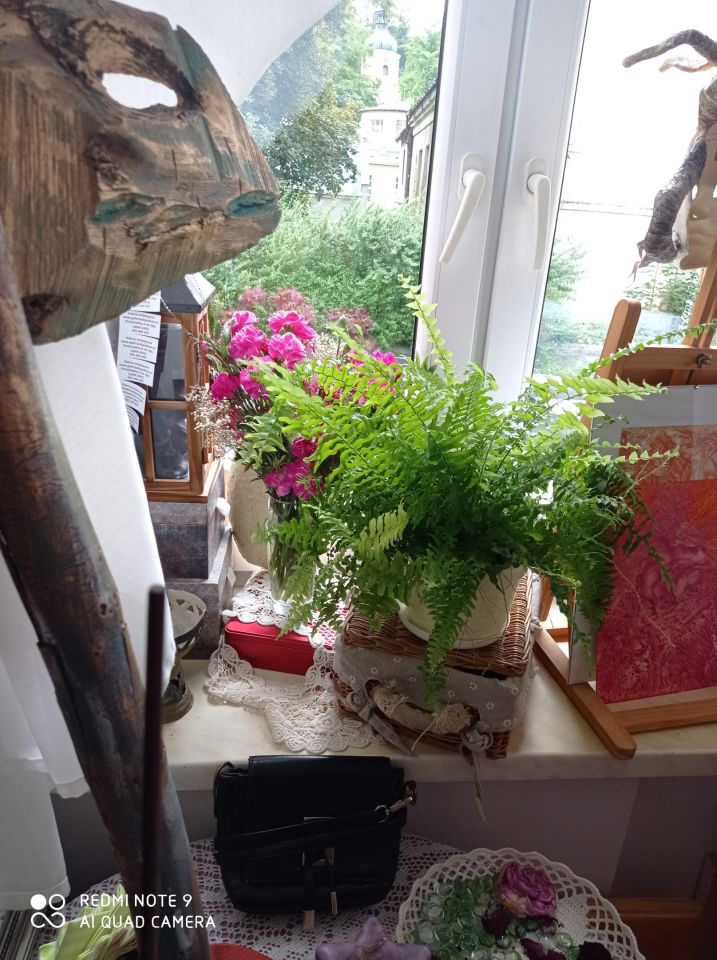 Mieszkanie 3-pokojowe Lądek-Zdrój, ul. Przechodnia. Zdjęcie 12