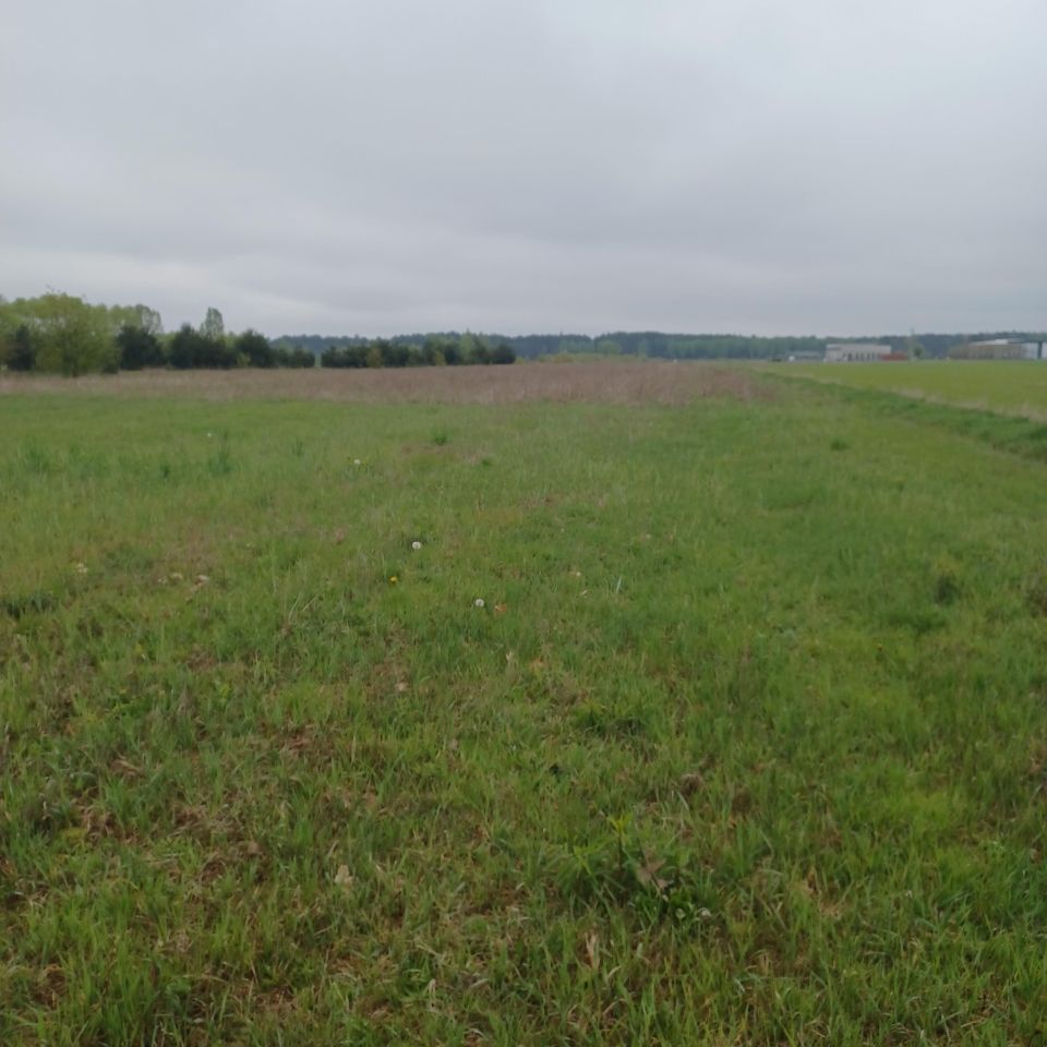 Działka rolno-budowlana Krusze, ul. Kryształowa. Zdjęcie 3