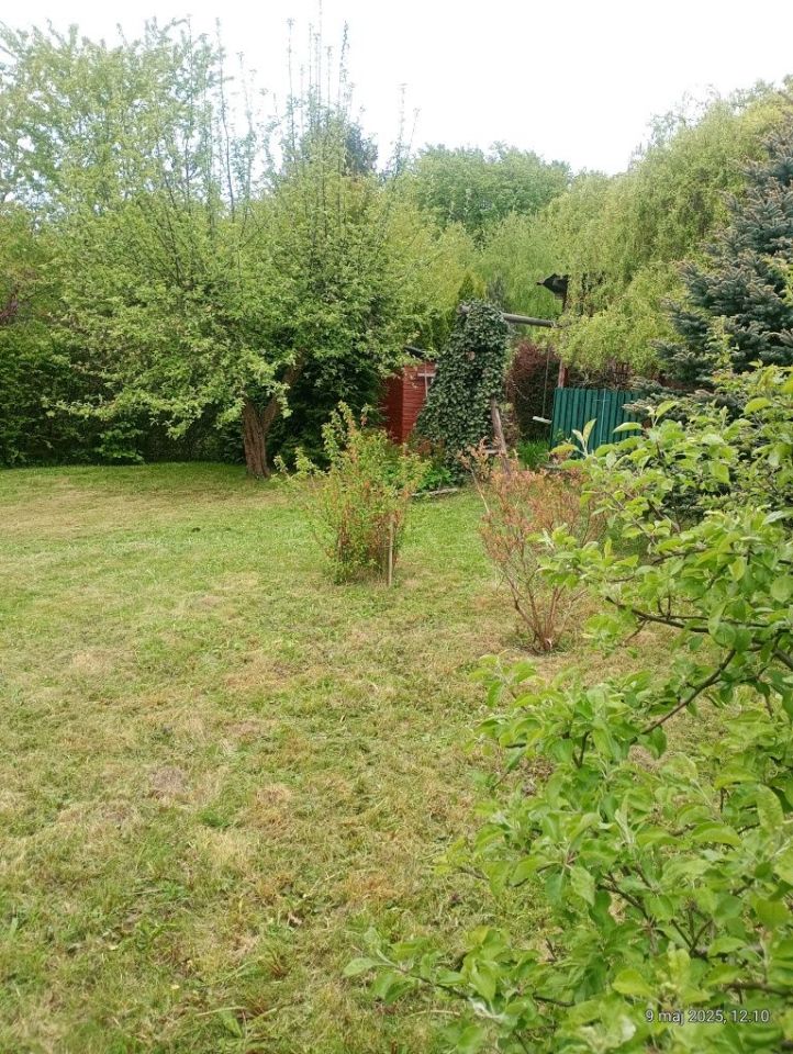 Działka rod Elbląg. Zdjęcie 5