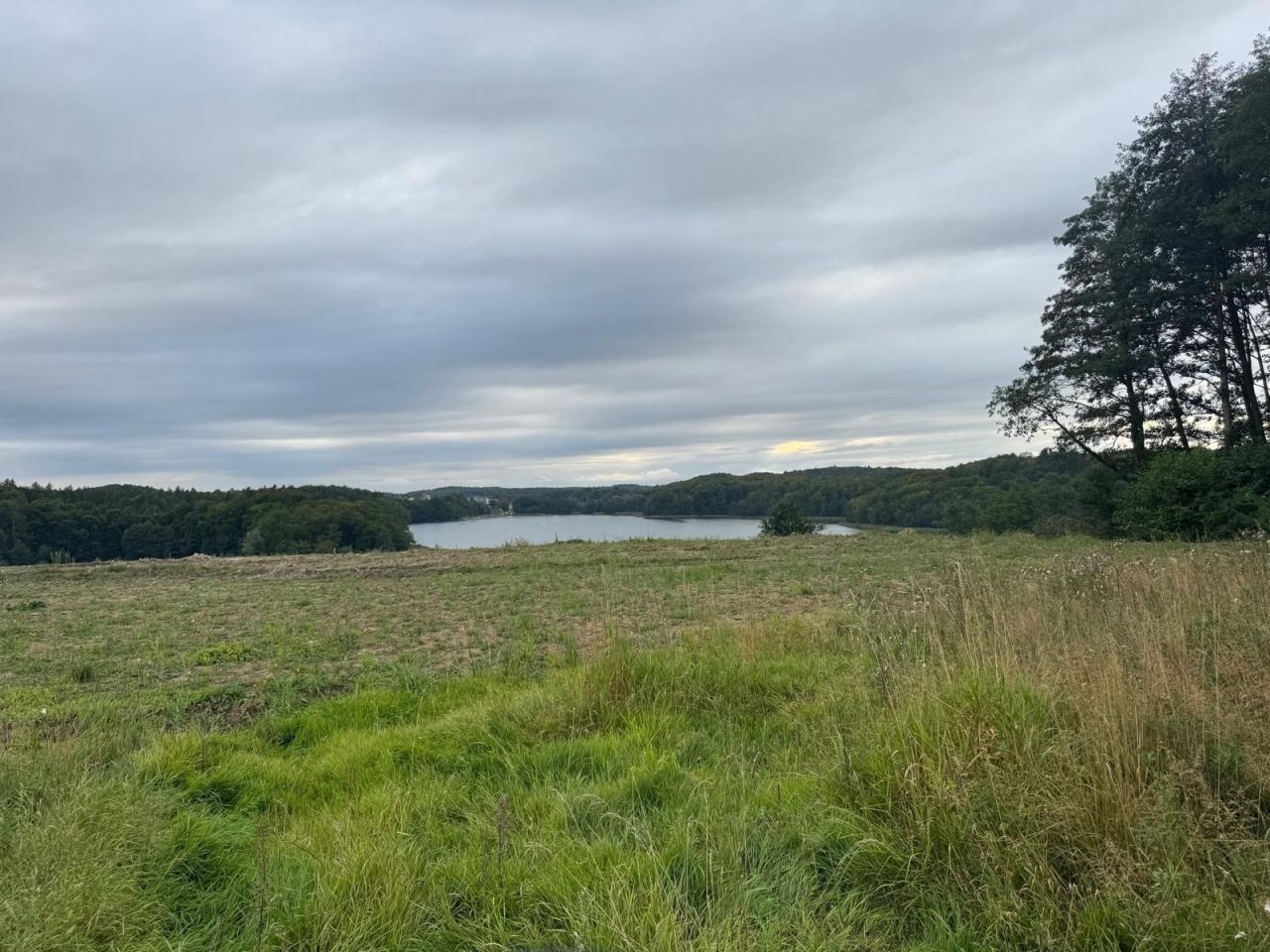 Działka budowlana Grzybno