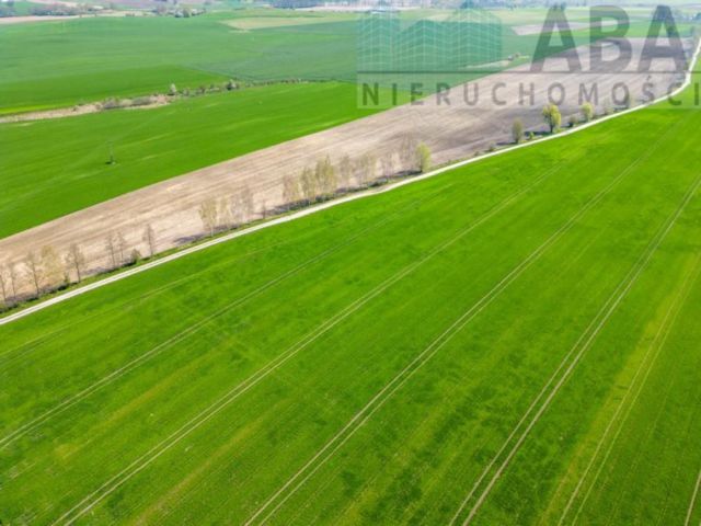 Działka rolna Turostówko. Zdjęcie 7