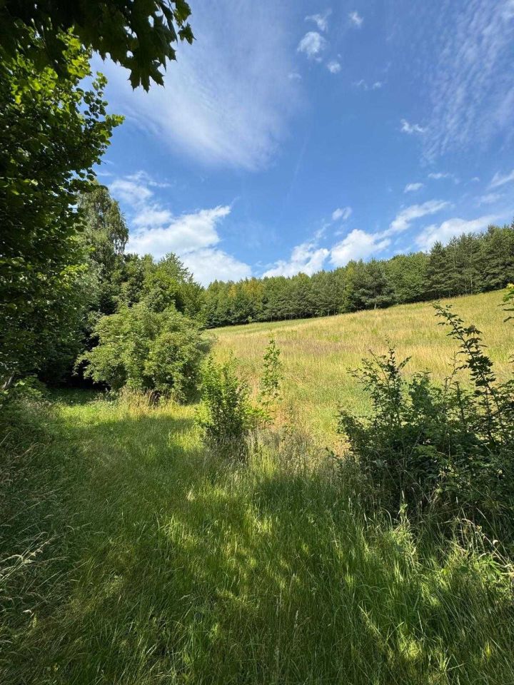 Działka rolna Jerzmanowice. Zdjęcie 4