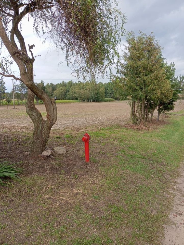 Działka budowlana Ciemniewo. Zdjęcie 8