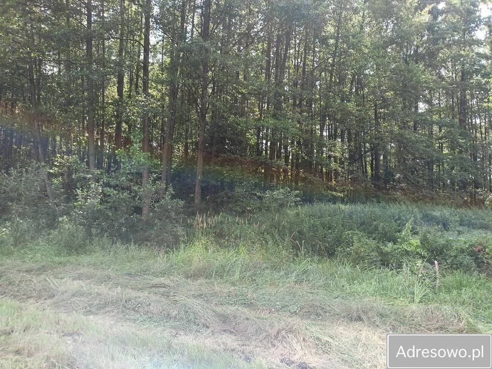 Działka rolna Budno. Zdjęcie 7