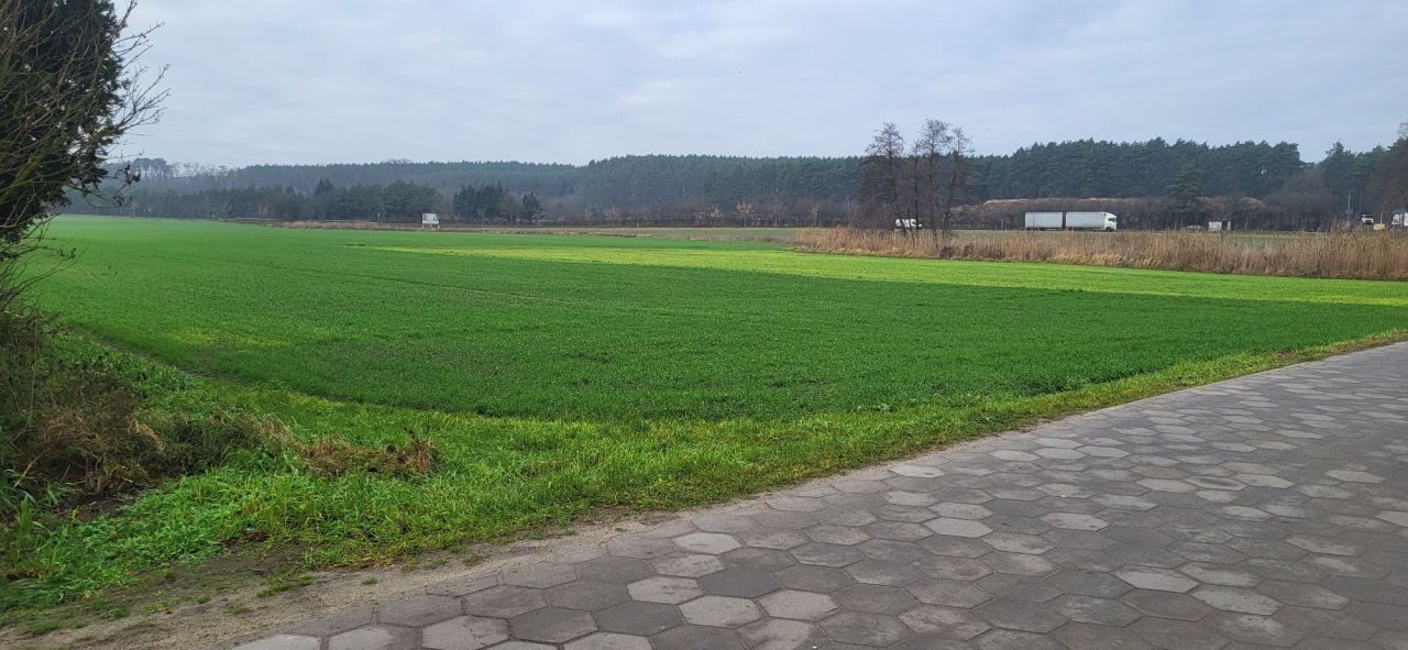 Działka rolno-budowlana Trzebania. Zdjęcie 7