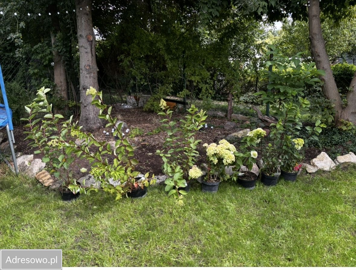 Działka rod Ząbki. Zdjęcie 15