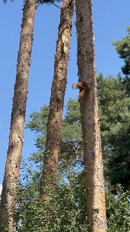 dom letniskowy, 3 pokoje Brenno, Ostrów. Zdjęcie 18