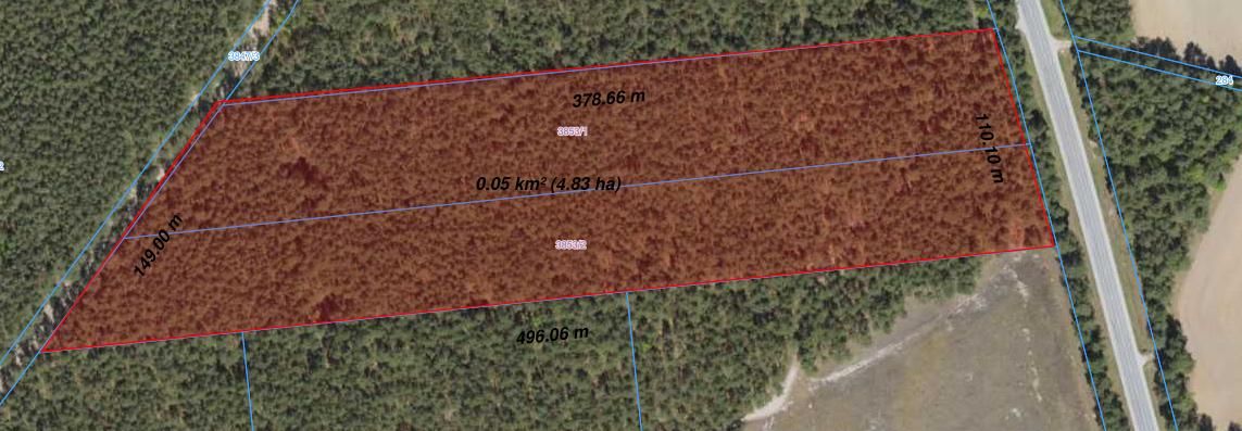 Działka leśna Siemiatycze-Stacja, Droga krajowa 19. Zdjęcie 4