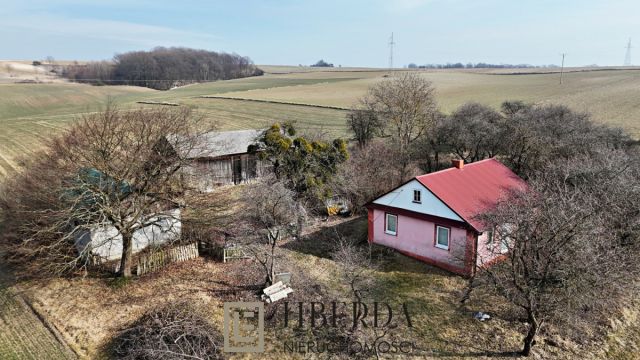 Działka siedliskowa Wierzbica. Zdjęcie 5