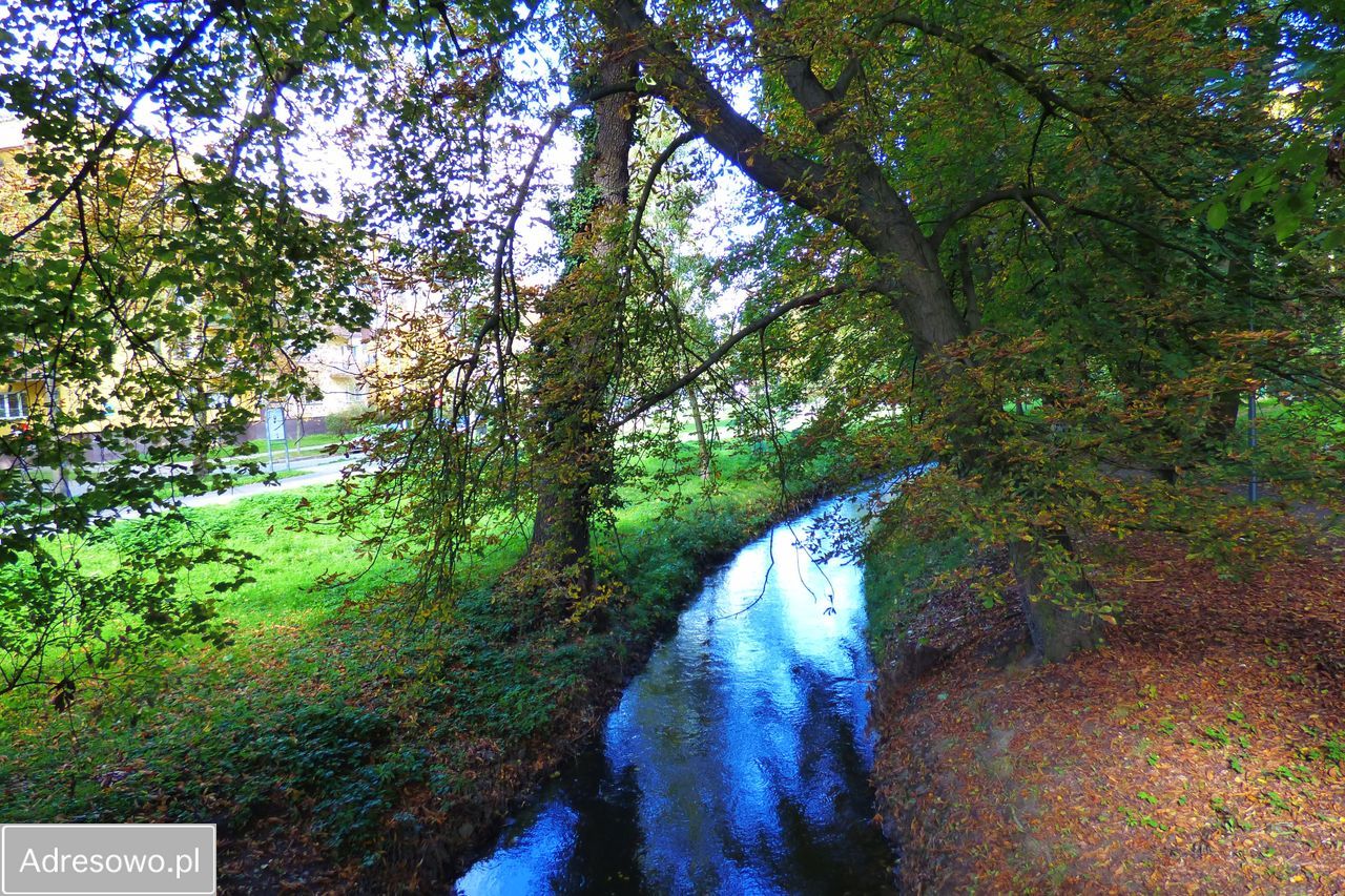Mieszkanie 2-pokojowe Gorzów Wielkopolski Śródmieście, ul. kard. Stefana Wyszyńskiego. Zdjęcie 16