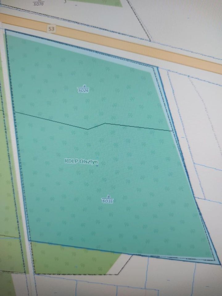 Działka leśna Olszyny. Zdjęcie 4