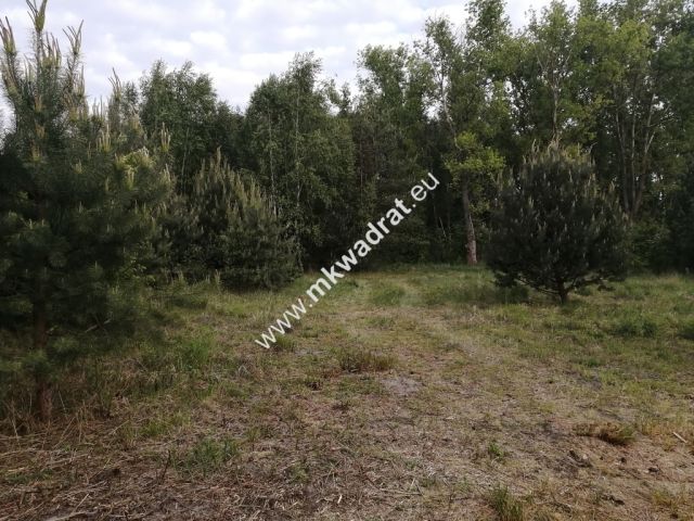 Działka budowlana Budy Zaklasztorne. Zdjęcie 5