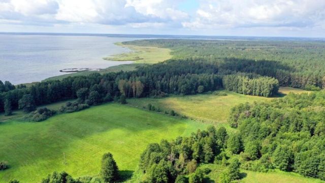 Działka rolna Dziubiele. Zdjęcie 2