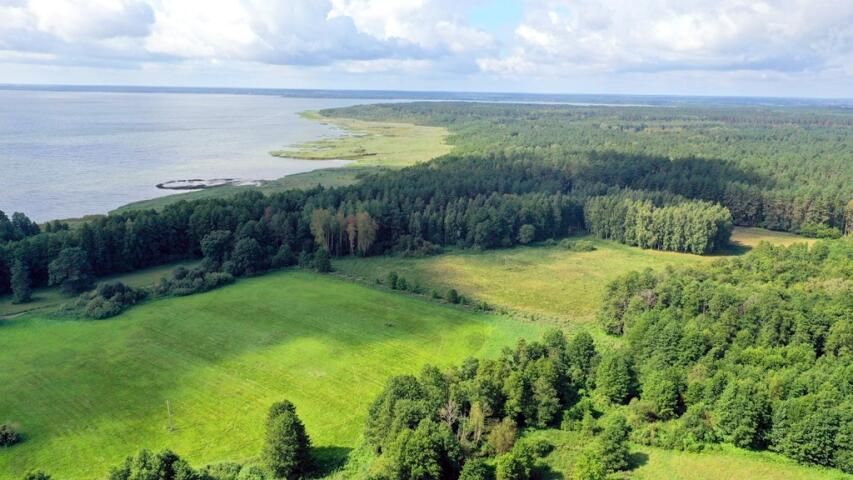 Działka rolna Dziubiele. Zdjęcie 2