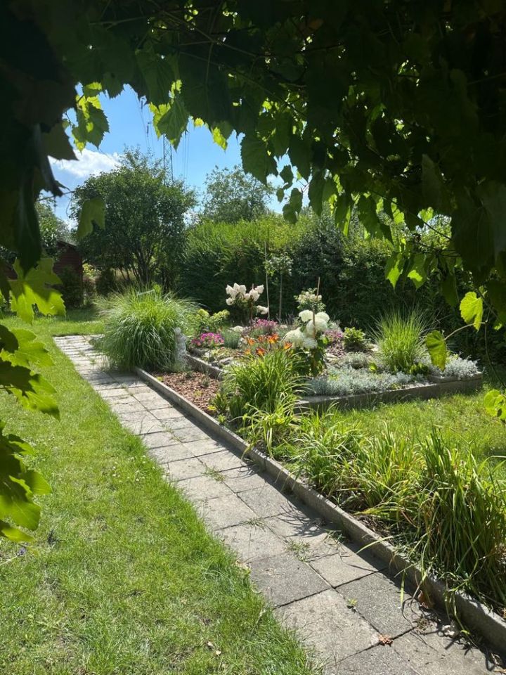 Działka rod Katowice Załęże. Zdjęcie 2