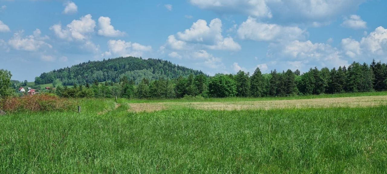 Działka budowlana Kurów. Zdjęcie 4