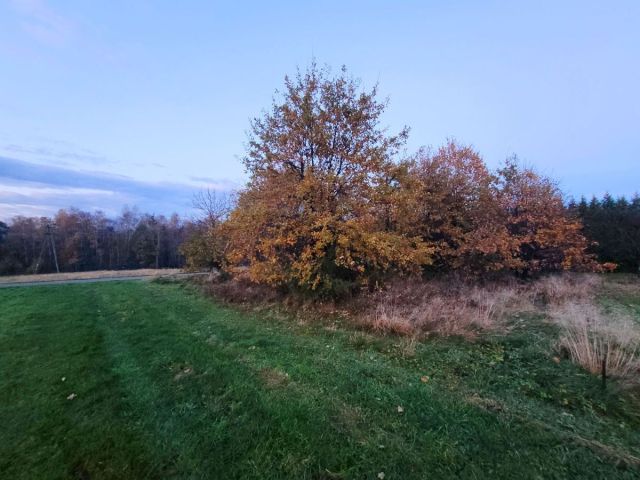 Działka budowlana Lipnica Górna. Zdjęcie 3