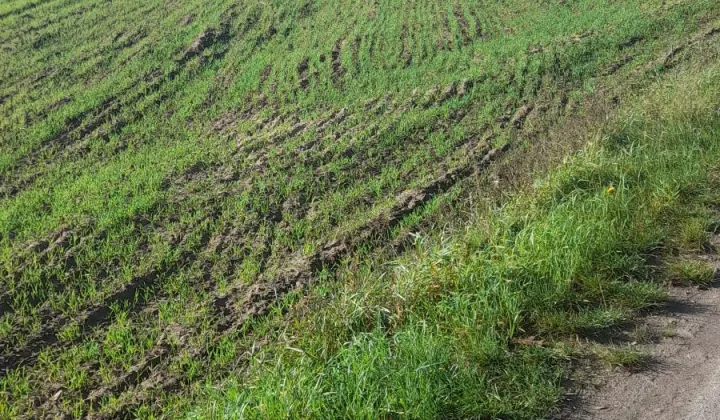 Działka budowlana Borkowo Kościelne, ul. Młyńska