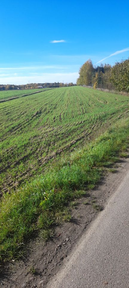 Działka budowlana Borkowo Kościelne, ul. Młyńska