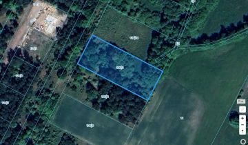 Działka rolna Słubica Dobra