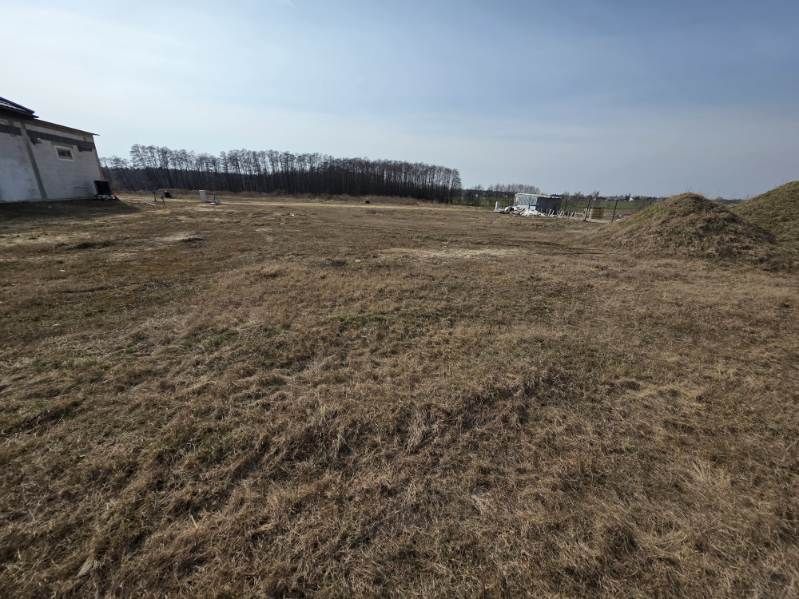 Działka budowlana Wyszyna. Zdjęcie 1