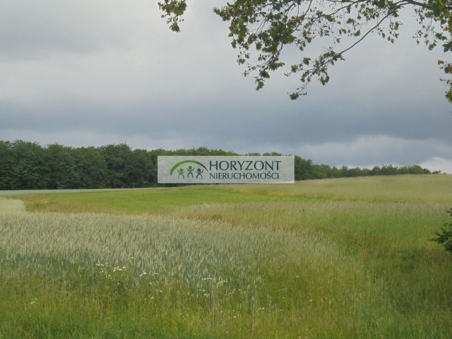 Działka budowlana Szemudzka Huta. Zdjęcie 5