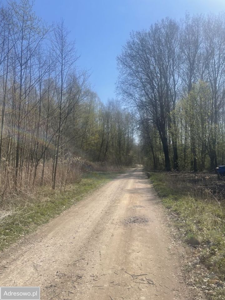 Działka budowlana Zaręby, ul. Kuropatwy. Zdjęcie 5