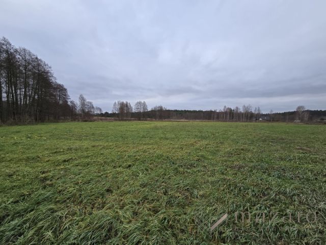 Działka rolna Drogosław. Zdjęcie 8