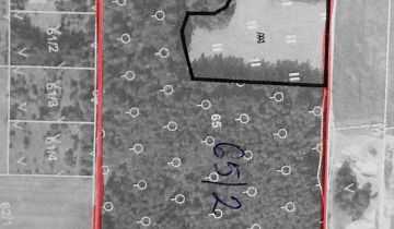 Działka leśna Ignacew Folwarczny