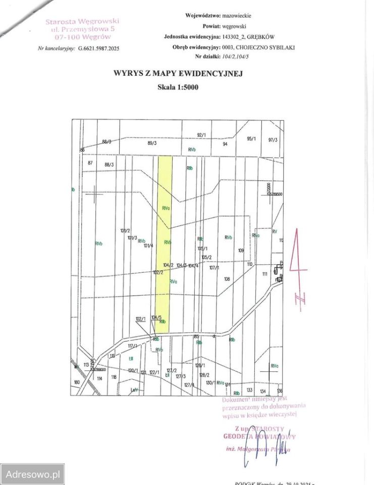 Działka rolna Chojeczno-Sybilaki