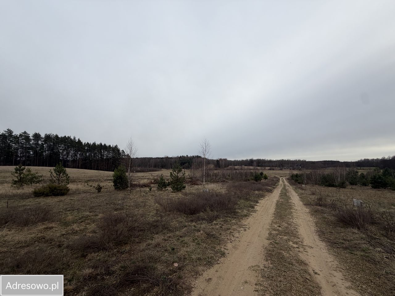 Działka budowlana Niewodnica Kościelna, ul. Borówkowa. Zdjęcie 7