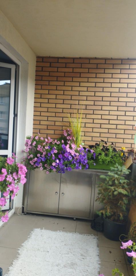 Mieszkanie 2-pokojowe Świdnik Polesie, ul. Janusza Kasperka. Zdjęcie 12