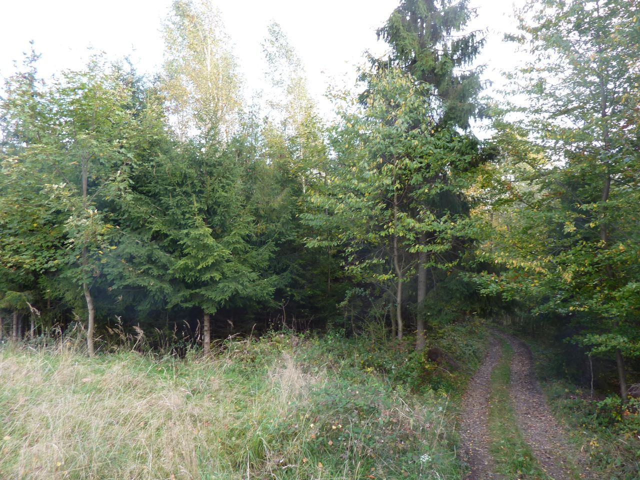 Działka rolna Pewel Wielka Garleje. Zdjęcie 7