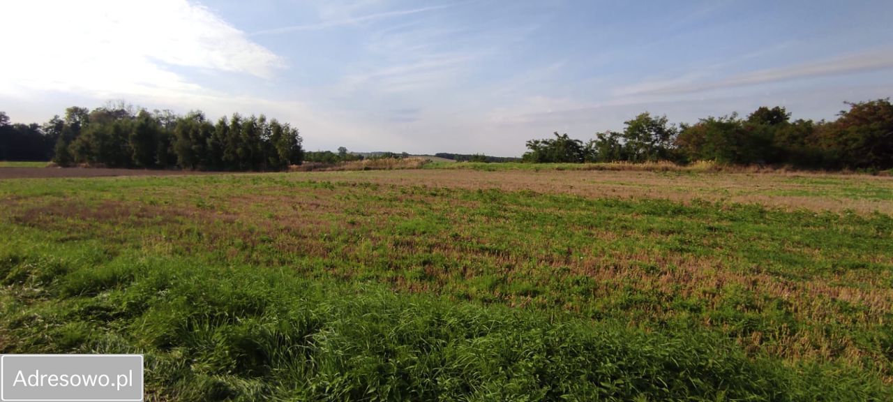 Działka budowlana Bojanice. Zdjęcie 7