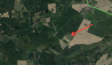 Działka siedliskowa Stawiany