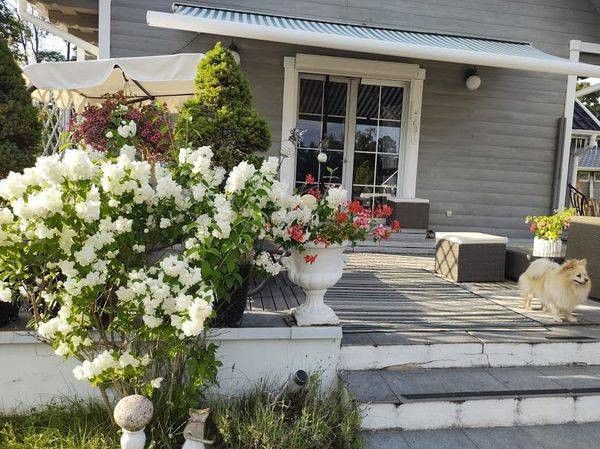 dom wolnostojący, 7 pokoi Pluszkiejmy. Zdjęcie 2