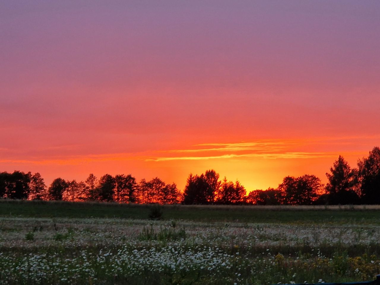 dom wolnostojący, 3 pokoje Bartosze, ul. Polna. Zdjęcie 16