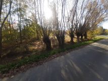 Działka budowlana Kałużna. Zdjęcie 4