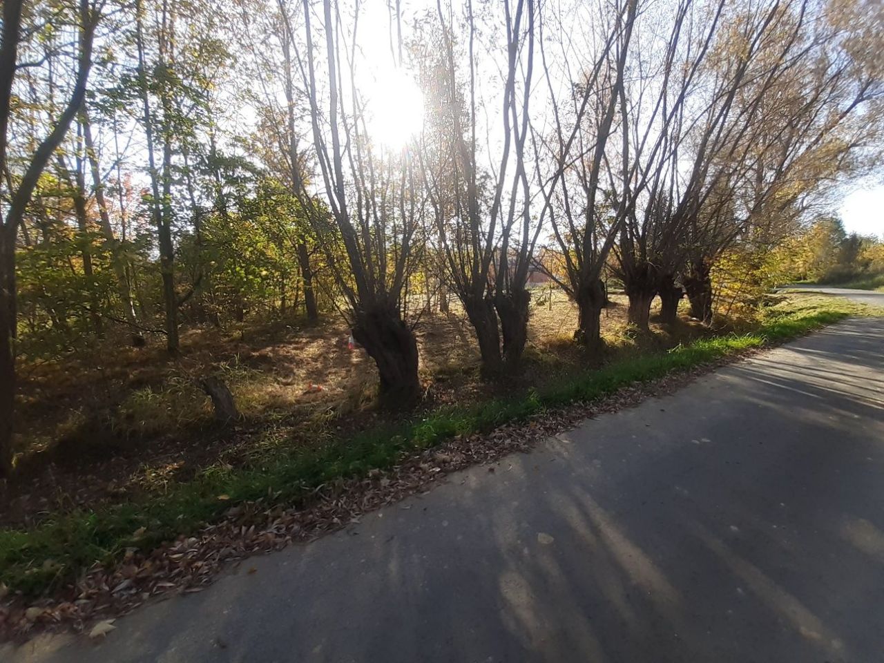 Działka budowlana Kałużna. Zdjęcie 5